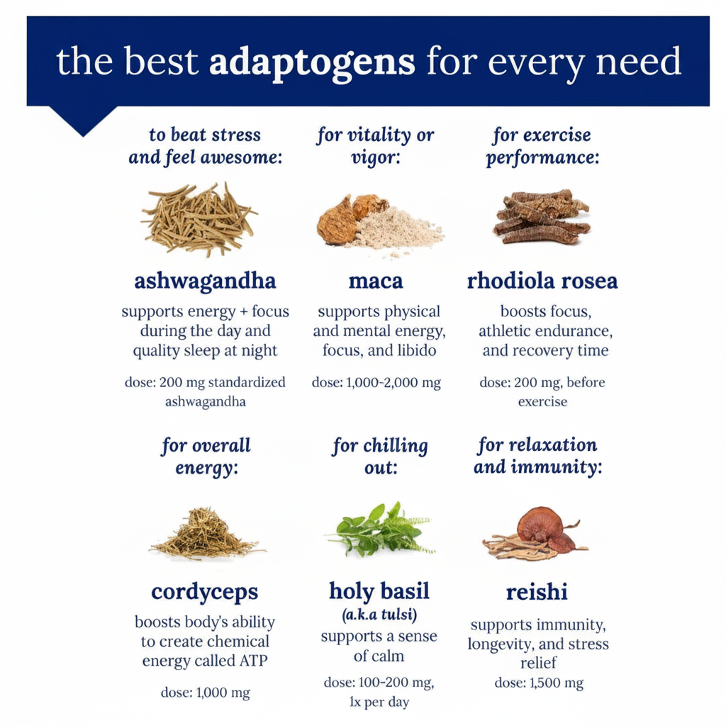 Adrenal-T Adaptogen Infographic