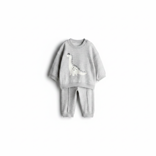 hm-kids-sweatsuit-light-gray-dinosaur-full-set-flat-lay-1x1
